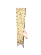 Palik z mchu grow vertical 60/11 mech sphagnum 