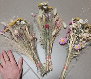 Naturalny zestaw roślin do ozdoby klatek dla chomikow, gryzoni 