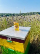 Miód faceliowo akacjowy 1 kg