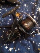Daiwa Castizm BR 25A