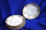 Talerze obiadowe Iwona Porcelana Chodzież 