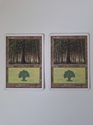 Forest (172) Starter 1999 MTG land