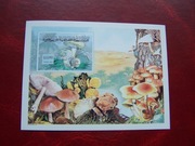 Mauretania 2000 MNH Cięte Flora Grzyby