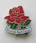 British Red Cross (czerwony krzyż) - róża