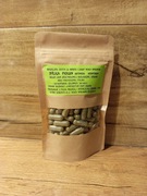 Ziele Bylicy Piołun 100 kaps. Oczyszczenie Przewodu Pokarmowego. 