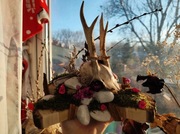 Dekoracja wnętrz Czaszka 