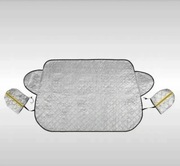 Mata na szybę samochodu