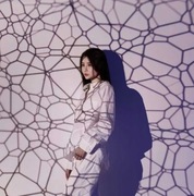 Godox AK-S pełny zestaw do AK-R21 slajdy