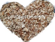 Ostropest mielony 10g