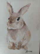 Zając wielkanocny Akwarela