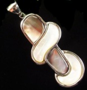 Muszla abalone, oryginalny wisiorek o fantazyjnym kształcie