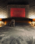 „MAGENTA” strukturalny obraz 100x140cm