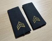 US Army - Shoulder Marks, Enlisted - Sergeant E-5 (SGT) - male - para