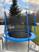 Trampolina ogrodowa dla dzieci 252 cm