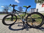 Rower Romet Rambler 4.0 fit