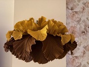 Klosz w postaci kwiatu do kinkietu