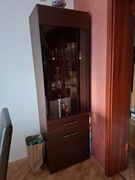 Witryna oraz półka szerokość witryny 60 cm , gł 50,00cm