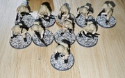 Bolt action british 8th army rifle team