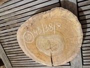 ORZECH CZARNY Amerykański 43/38/8 cm Wysuszony Blat Plaster Drewna Stolik