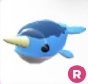 Narwhal R - Adopt Me Roblox