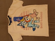 Bluzka Dziecięca Bluey 104 kremowa