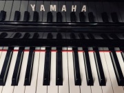 Yamaha Clavinova CLP 575 B Digital Piano Black