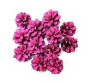 Polskie naturalne SZYSZKI SOSNOWE Florystyka Dekor Stroik 12 szt. różowe.