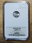 PRL 1 grosz 1949 ECC MS 66 