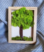 Drzewo. Mech chrobotek, ramka
