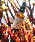 Reishi prosto od Chłopa. Wodno-glicerynowy Ekstrakt Podwójny 50 ml