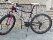 Rower górski montana