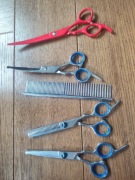 Nożyczki groomer pies