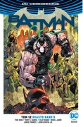 Batman. Miasto Bane'a. Tom 12