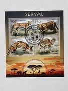 (837) blok , dzikie koty