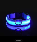 OBROŻA OZDOBNA DLA PSA Świecąca LED Niebieska L