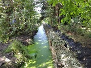 Faszyna umacnianie skarp