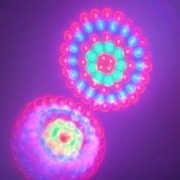 Colorstage jak Revo 3 efekt dyskotekowy reflektor flower DMX, mikrofon