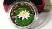 Kanada 2010, Lilia Wodna, 20 $, 31,4 g srebra 0,999, CoA, Box
