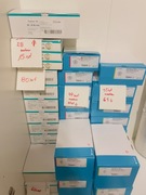 Worki stomijne Coloplast, B Braun