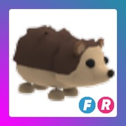 Hedgehog FR | Adopt Me | Roblox