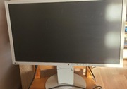 Monitor enzo fv2316w