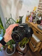 Canon EOS 550D | stan bardzo dobry | 8 534 zdjęcia |torba + akcesoria