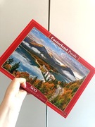 Puzzle 500 castorland widok 