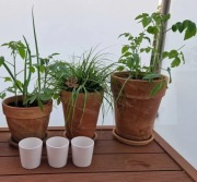 doniczka z terakoty, cały zestaw 