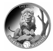 Srebrna moneta Congo World’s Wildlife: Lion Lew 1 uncja srebra 2025