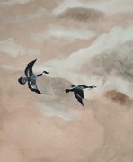 Obraz 70x50 płótno - "Dzikie Gęsi"