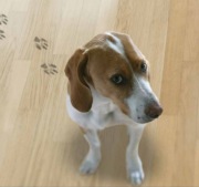 Cyklinowanie Warszawa Piaseczno WOLNE TERMINY