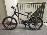 Rower Indiana x rock 2.4 24 " 