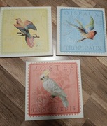 Ikea Pjatteryd Obraz 3 Szt Ptaki Egzotyczne