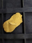 Róża Pustyni, czyli skupienie minerałów